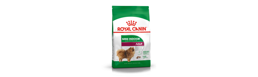  雙11優惠 Royal Canin  室內小型犬隻系列